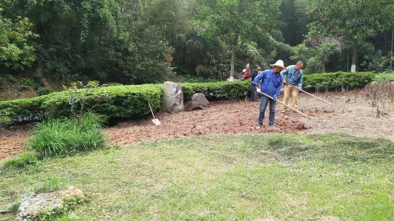 公园绿化项目报价解析：如何合理评估成本**