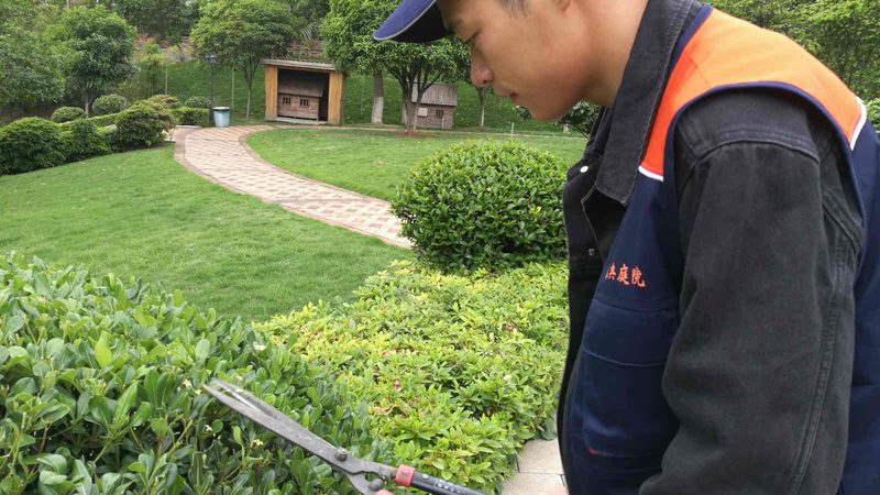 以下是根据市场调查和消费者评价，整理出的庭院草坪铺设十大品牌排名：