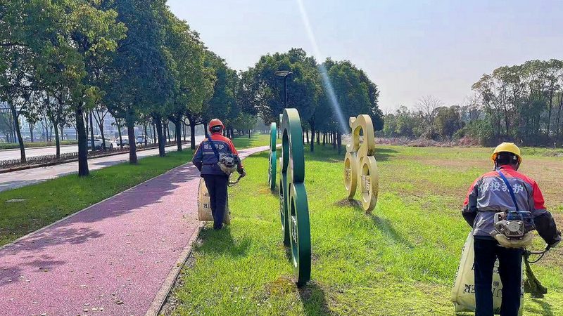 绿化养护病虫害防治：科学管理，守护城市绿肺**