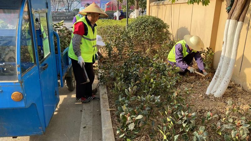 如何选择优质的绿化苗木种植基地？**
