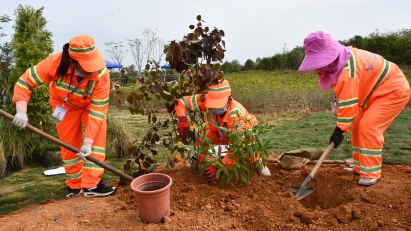 私人庭院定制设计哪家好