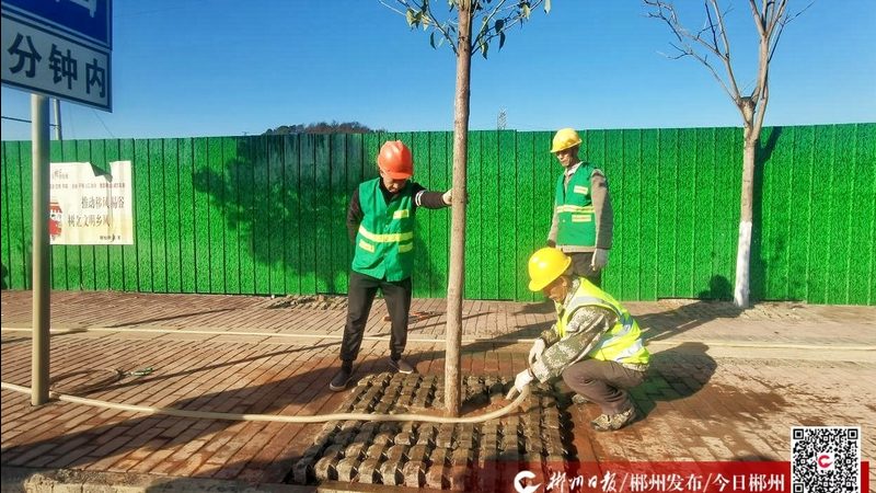 小区绿化改造，资质要求知多少？**