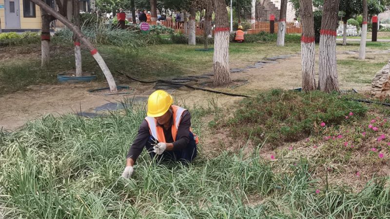 标准跑道内草坪尺寸规格：设计要点与选择标准