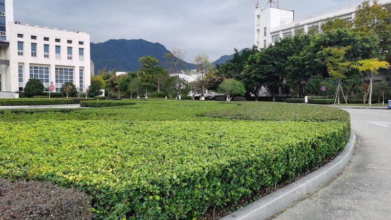 屋顶绿化加盟代理，揭秘成功之道**